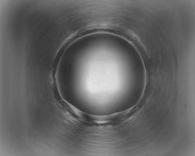 X0000071821218200606301244