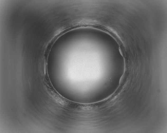 X0000071821219200606301244