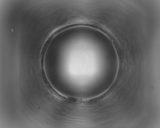 X0000071821222200606301244