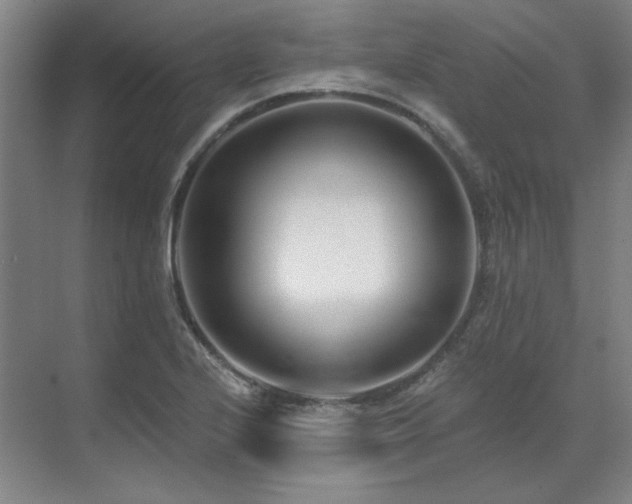 X0000071821224200606301244