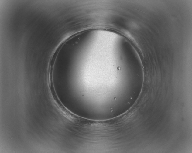 X0000071821227200606301244