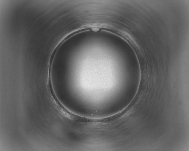 X0000071821228200606301244