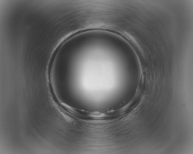 X0000071821230200606301244