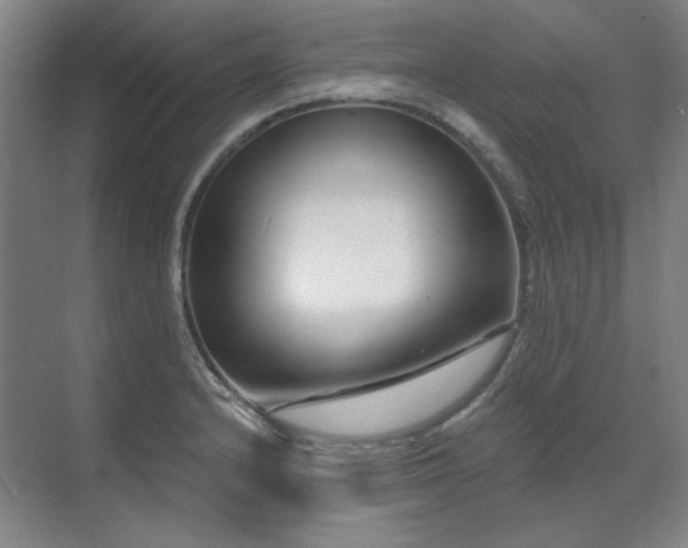 X0000071821232200606301244
