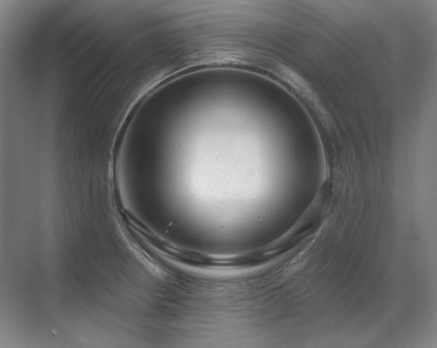 X0000071821234200606301244