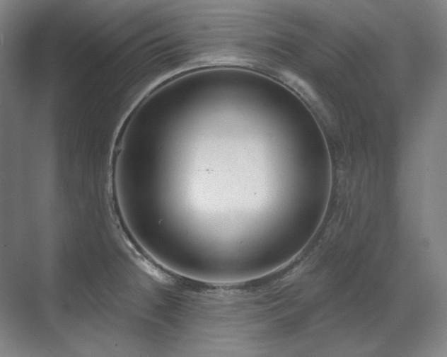 X0000071821236200606301244
