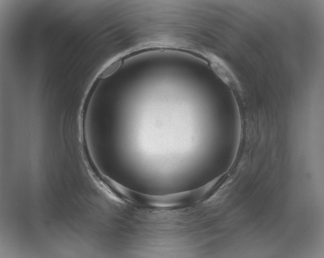X0000071821238200606301244