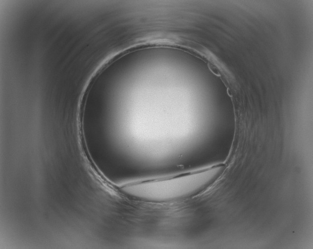X0000071821240200606301244