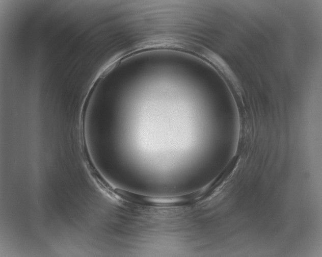 X0000071821242200606301244