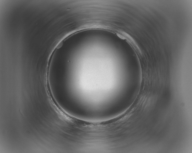 X0000071821244200606301244