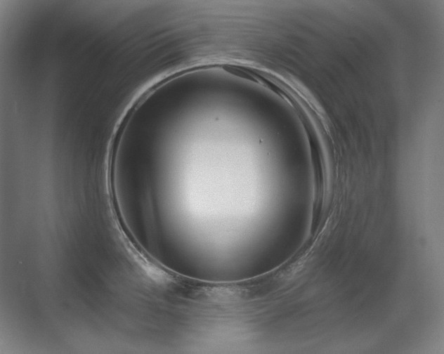 X0000071821246200606301244