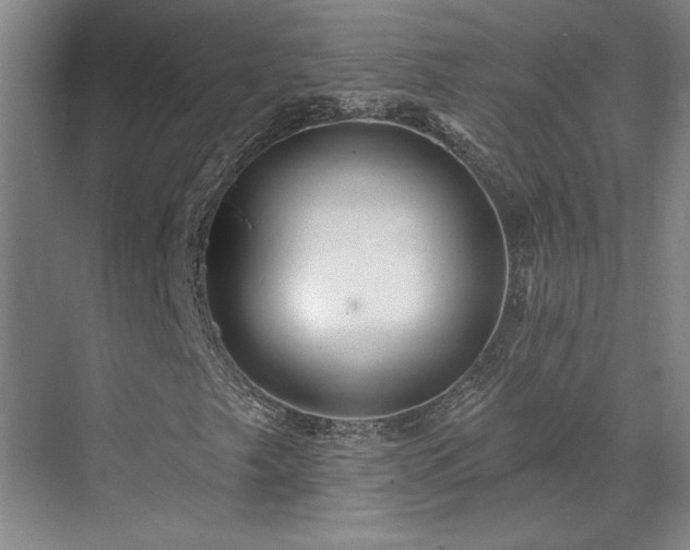 X0000071821249200606301244
