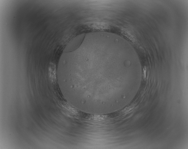 X0000071821251200606301244