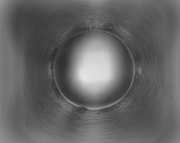 X0000071821252200606301244