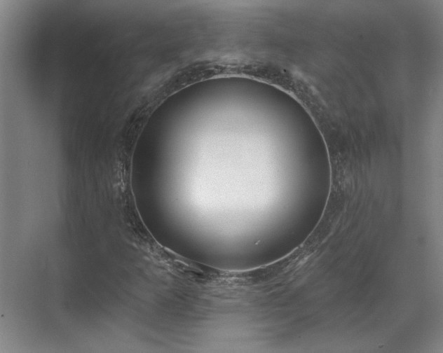 X0000071821253200606301244
