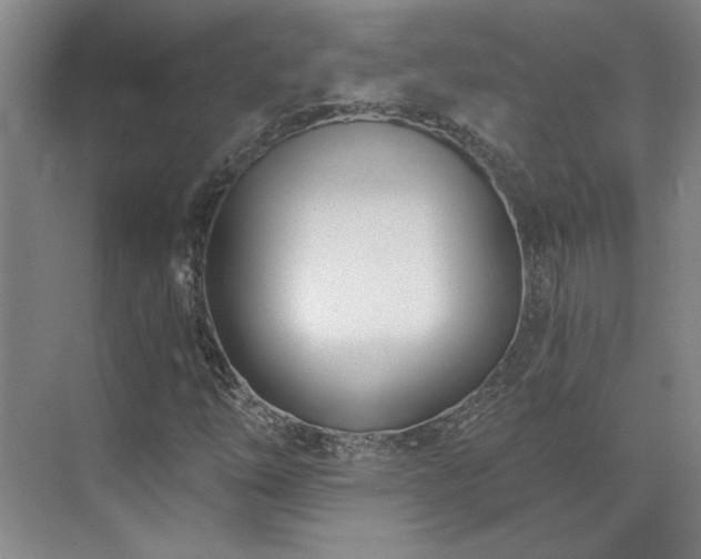 X0000071821254200606301244