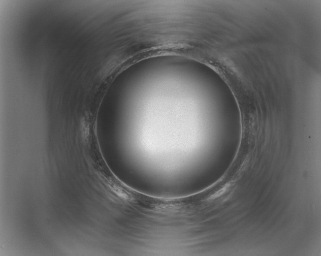 X0000071821257200606301244
