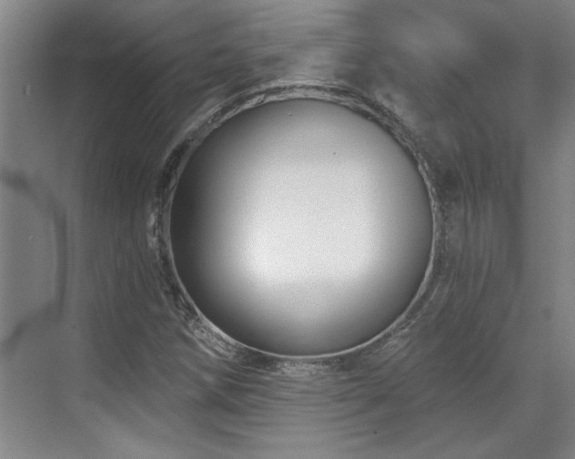 X0000071821258200606301244