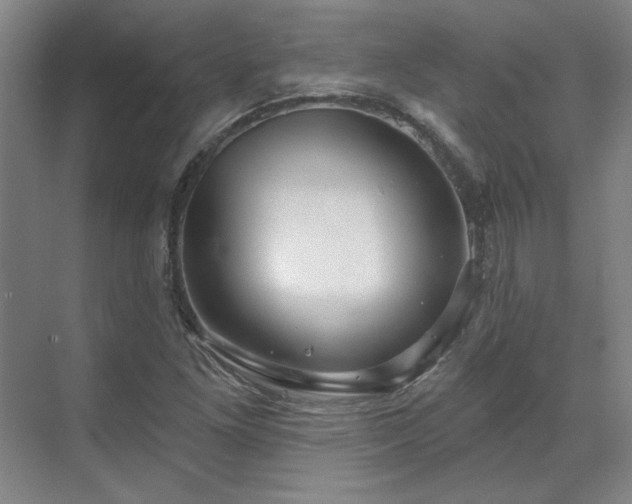 X0000071821261200606301243