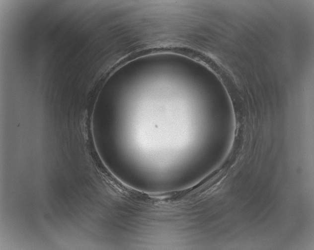 X0000071821265200606301243