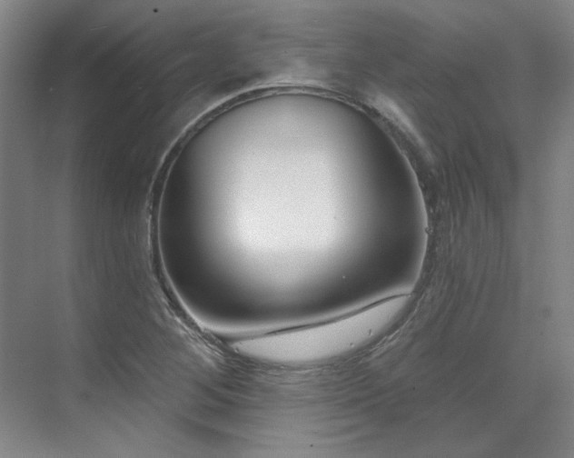 X0000071821268200606301243