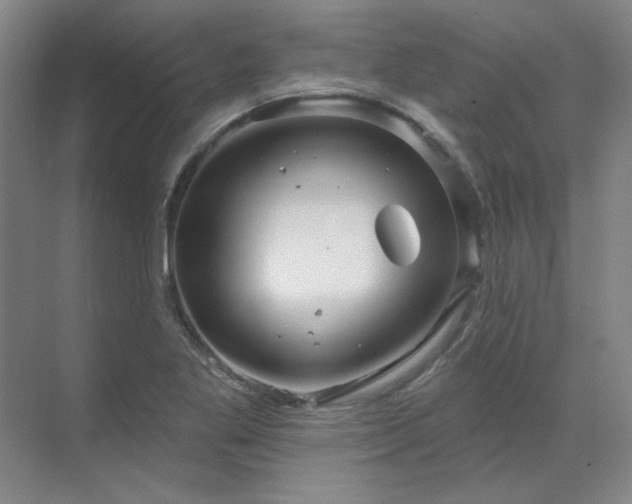 X0000071821269200606301243