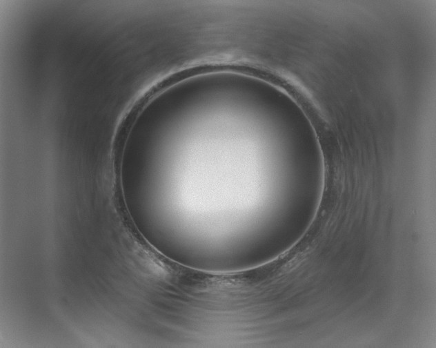 X0000071821270200606301243