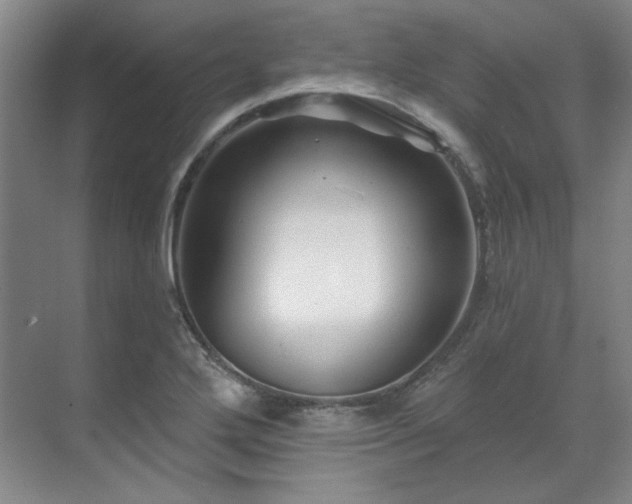 X0000071821272200606301243
