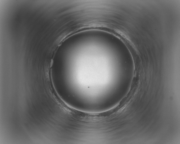 X0000071821273200606301243