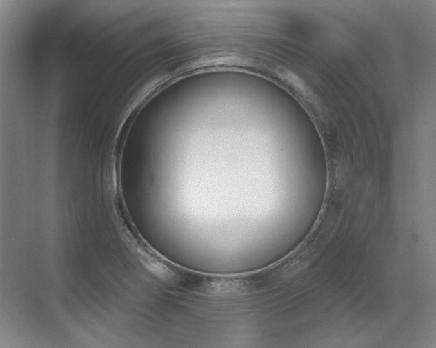 X0000071821274200606301243