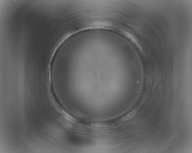 X0000071821275200606301243