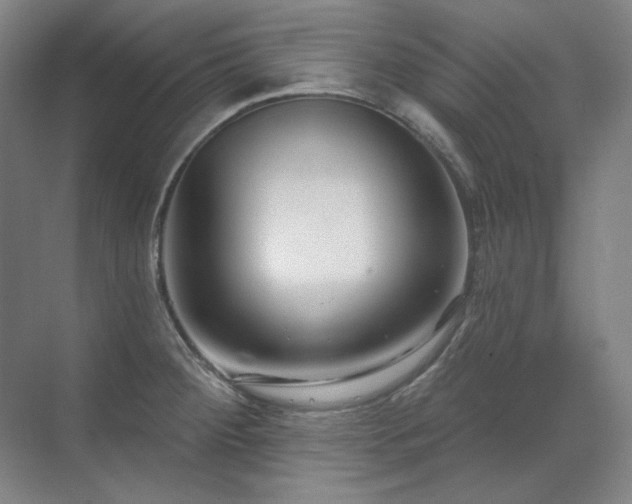 X0000071821284200606301243