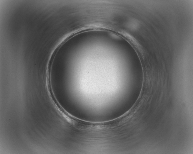 X0000071821286200606301243