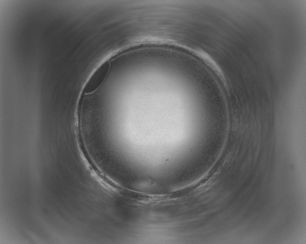 X0000071821287200606301243