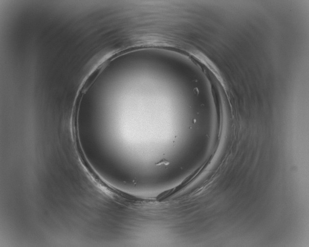 X0000071821293200606301243