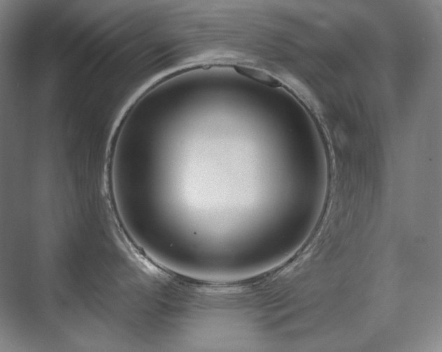 X0000071821296200606301243