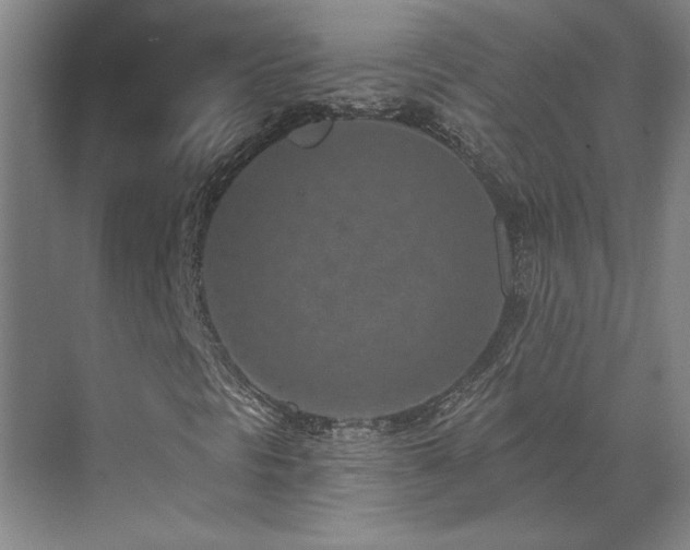 X0000071821297200606301242