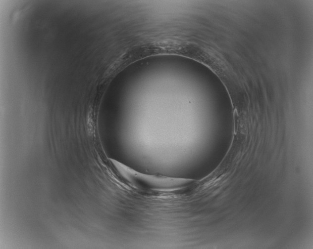 X0000071821298200606301242