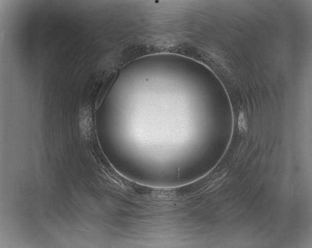 X0000071821299200606301242
