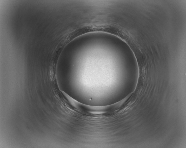 X0000071821300200606301242