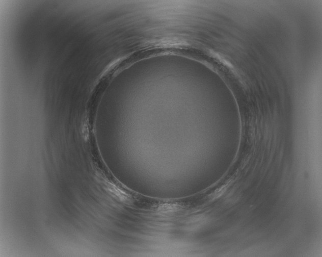 X0000071821306200606301242