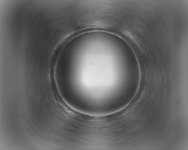 X0000071821307200606301242