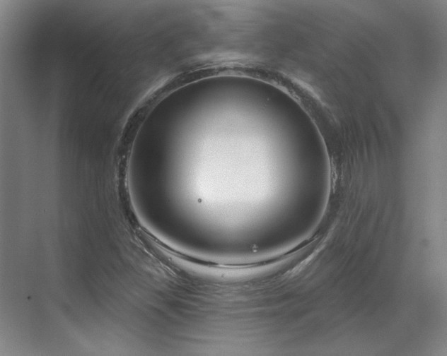 X0000071821309200606301242