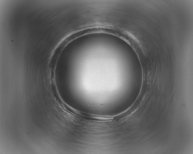 X0000071821310200606301242