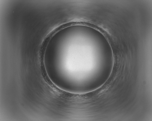 X0000071821311200606301242