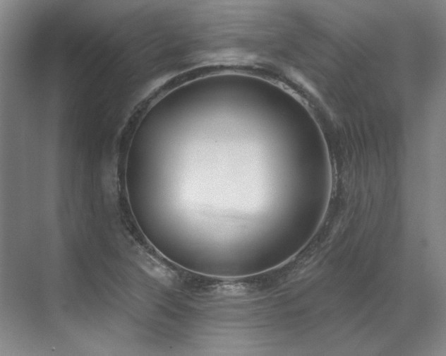 X0000071821315200606301242