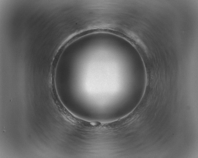 X0000071821316200606301242