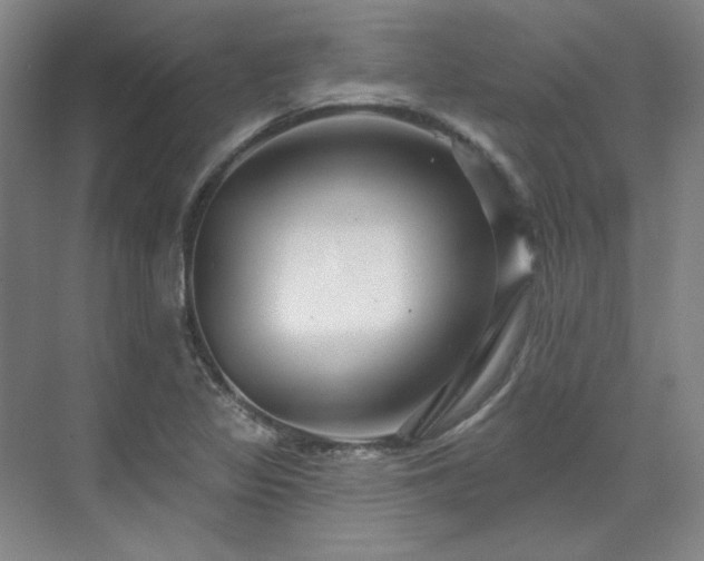 X0000071821317200606301242