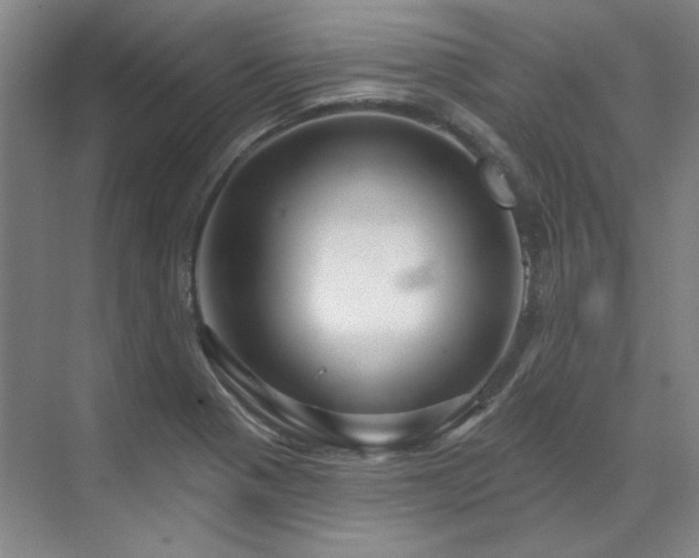 X0000071821321200606301242