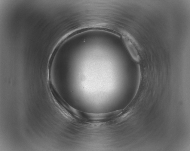X0000071821324200606301243